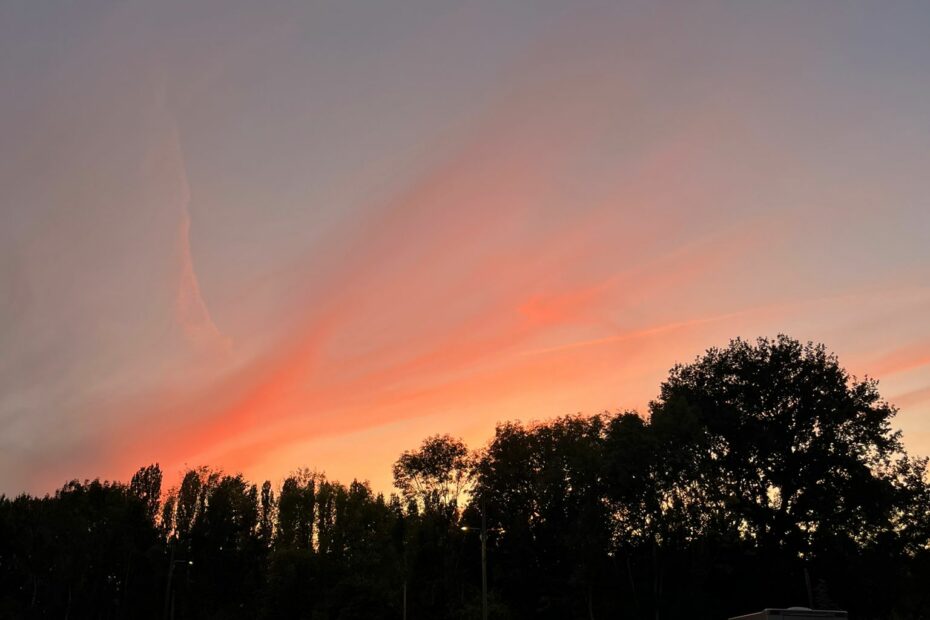 IMG-20251008-WA0005