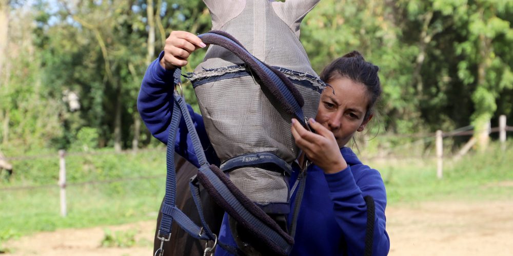 1er lots ecurie loschito_2023_10_19_0497